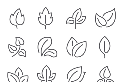 Natural leaf line icons. Young leaves of plants, forest tree leafs and