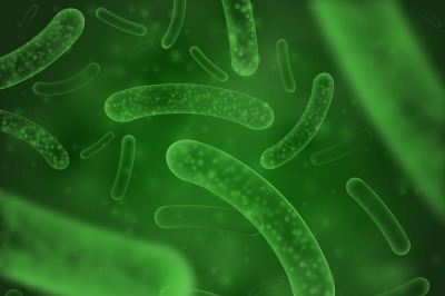 Bacteria biological concept. Micro probiotic lactobacillus green scien