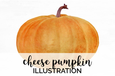 Pumpkin Clipart