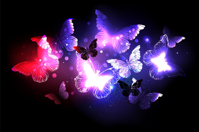 Swarm of Night Butterflies
