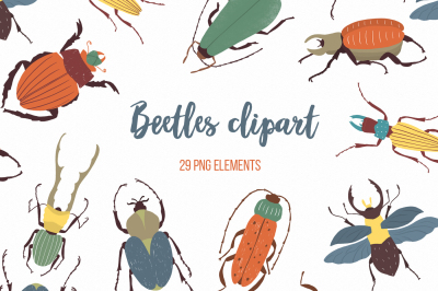 Beetles png clipart