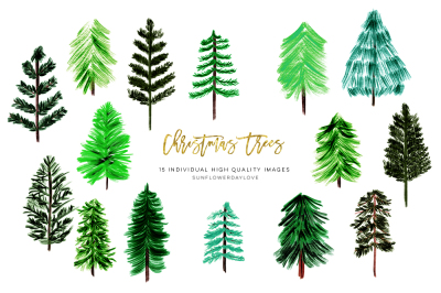 Conifers Trees clip art, Evergreen Trees clip art, Handpainted waterco