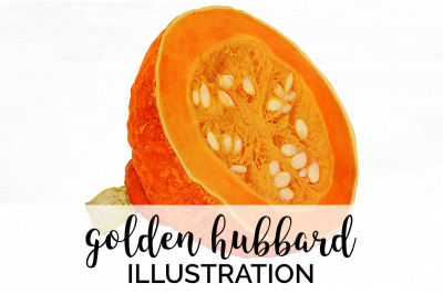 Pumpkin Clipart