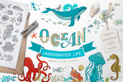 Ocean Underwater Life