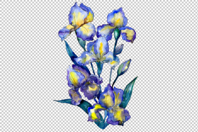 Bouquet of blue irises PNG watercolor set