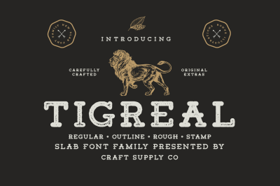 Tigreal Font Family + Illustrations