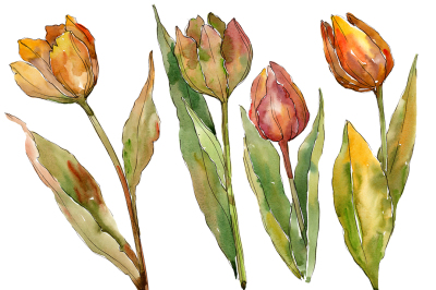 Colorful autumn tulips PNG watercolor set &nbsp;