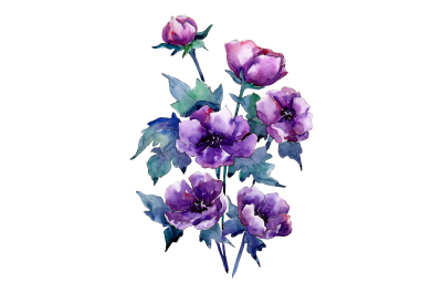 Bouquet of purple poppy PNG watercolor set