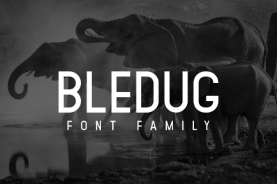 Bledug Font Family