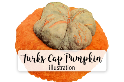 Pumpkin Clipart