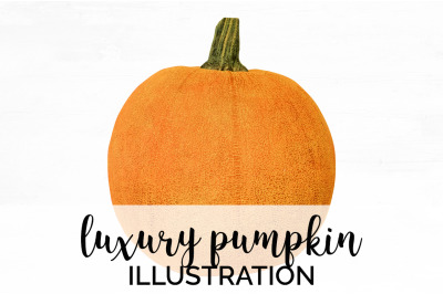 Pumpkin Clipart