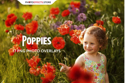 17 Poppie Flowers Photo Overlays