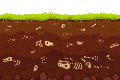 Archeology bones in soil layers. Buried fossil animals&2C; dinosaur skele