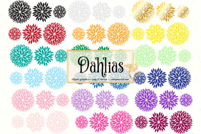 Dahlia Vector Clipart