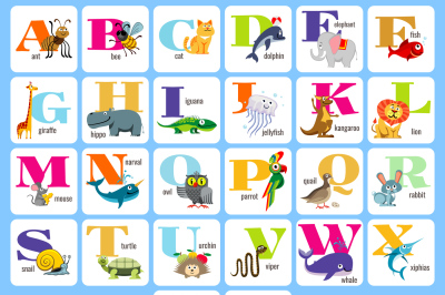 Kids full alphabeth with cartoon animals vector illustration