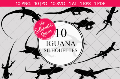 Iguana Silhouette Vectors