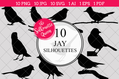 Jay Silhouette Vectors