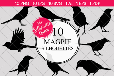 Magpie  Silhouette Vector