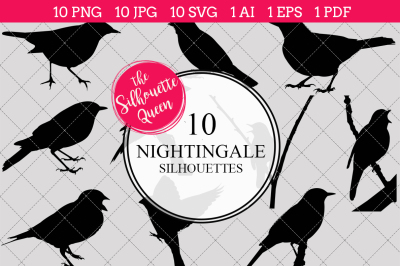 Nightingale  Silhouettes Vector