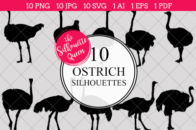  Ostrich Silhouettes Vector