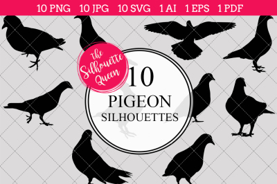 Pigeon Silhouette Vector