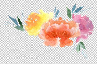 Delicate colorful peony PNG watercolor set