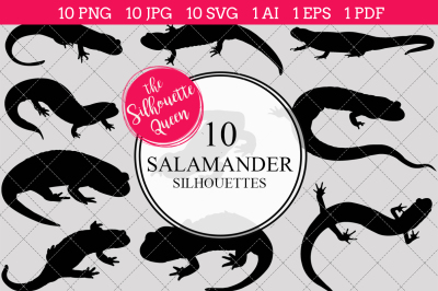 Salamander  Silhouette Vectors