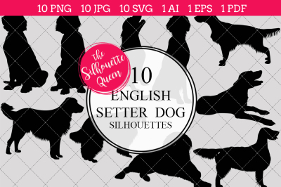 English Setter Dog  Silhouette Vectors