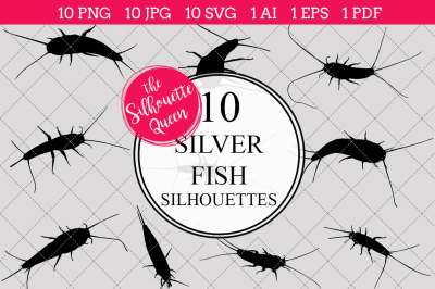 Silver Fish  Silhouette Vectors