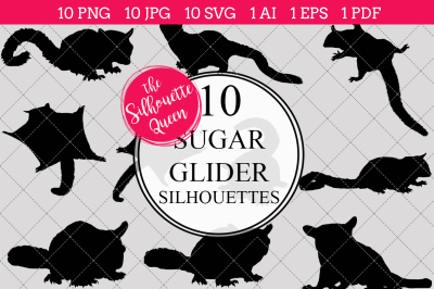 Sugar Glider  Silhouette Vector