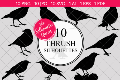 Thrush  Silhouette Vector