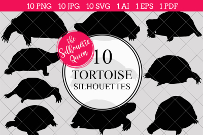 Tortoise  Silhouette Vector