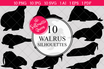 Walrus  Silhouette Vector