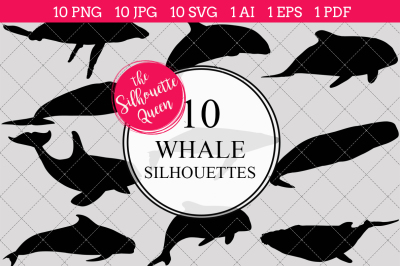 Whale  Silhouette Vector