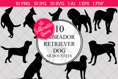 Labrador Retriever Dog  Silhouette Vector