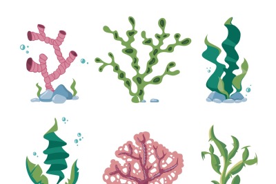 Underwater seaweeds, aqua kelp, ocean and aquarium plants vector set