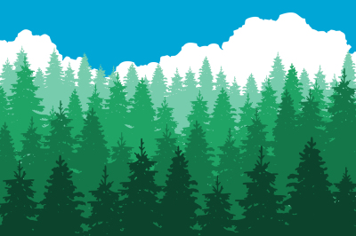 Wild landscape with fir trees coniferous forest vector illustration