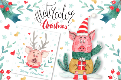 Watercolor Christmas Pig Collection