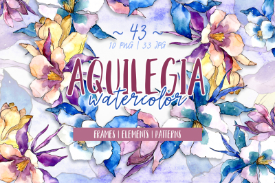 Beautiful aquilegia PNG watercolor set