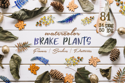 Brake plants PNG watercolor set