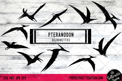 Pteranodon Vector Silhouettes