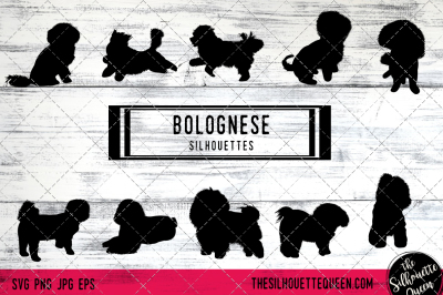 Bolognese Vector Silhouettes