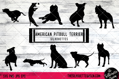 American Pitbull Terrier Vector Silhouettes