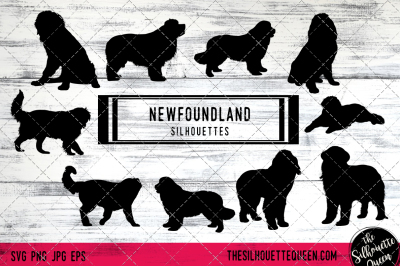 Newfoundland Dog Silhouette Vectors