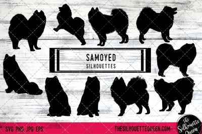 Samoyed Dog Silhouette Vectors