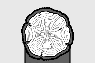 Annual tree growth rings, trunk cross section hipster vector log