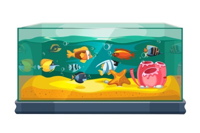 Cartoon freshwater fishes in tank aquarium vector illustration