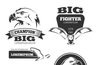 Military eagle heraldry vector labels, logos, emblems