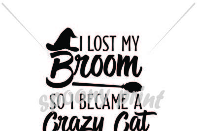 I lost my broom so I became a Crazy Cat Lady