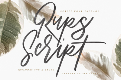Rups Script Brush Font